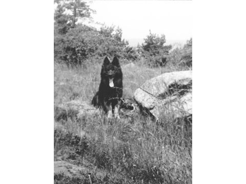 Foto 50